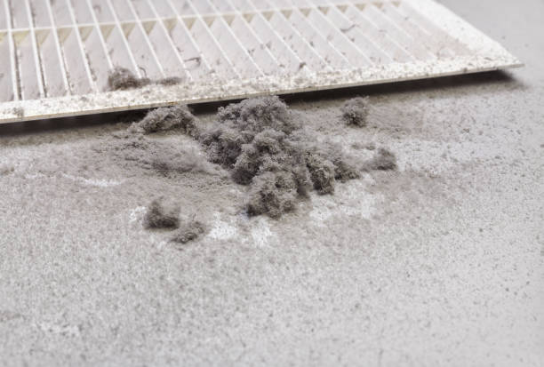Best Air Duct Inspection  in Republic, PA