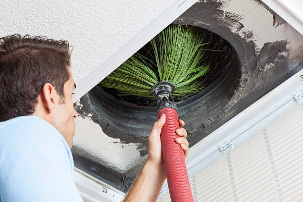 Best Air Duct Mold Removal  in Republic, PA